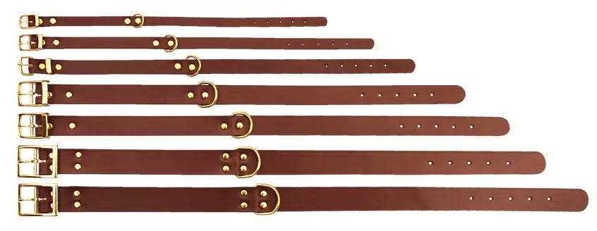 Beau Pets – Leather Collar Centre D – Redwood - Paws & Palettes