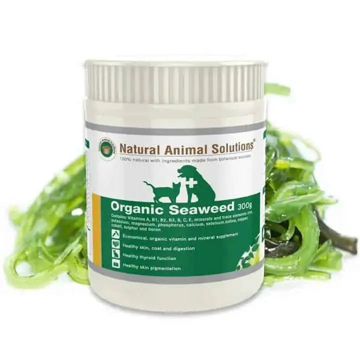 Natural Animal Solutions – Organic Seaweed - Paws & Palettes