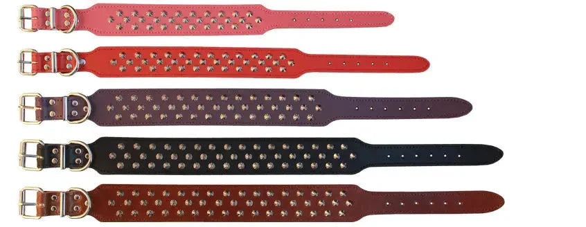 Beau Pets – Studded Leather Collar -Staffordshire Bull Terrier – Black Agline