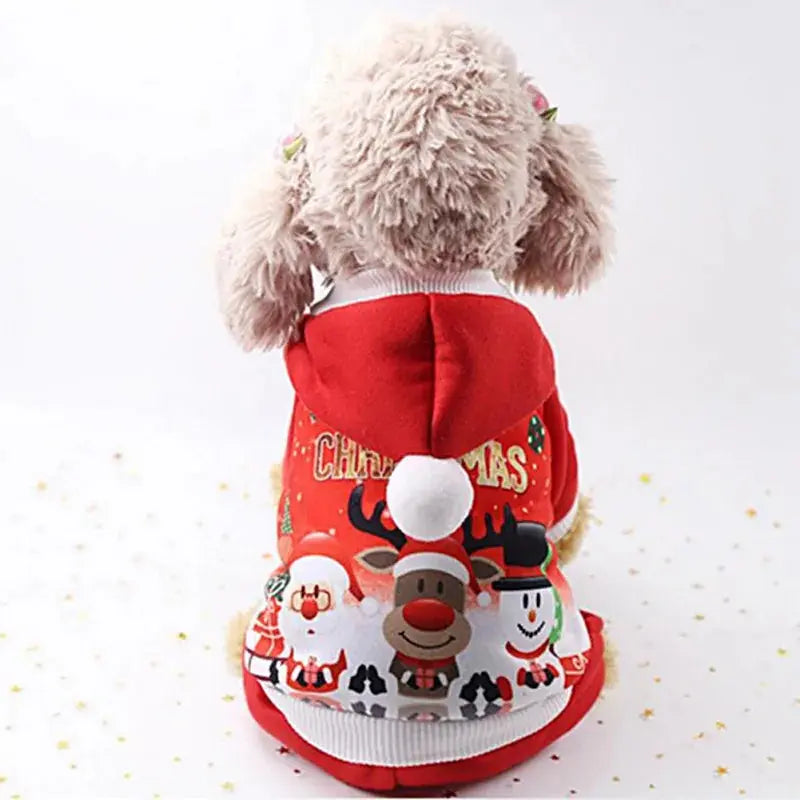 Santa Costume For Pet Dog - Paws & Palettes