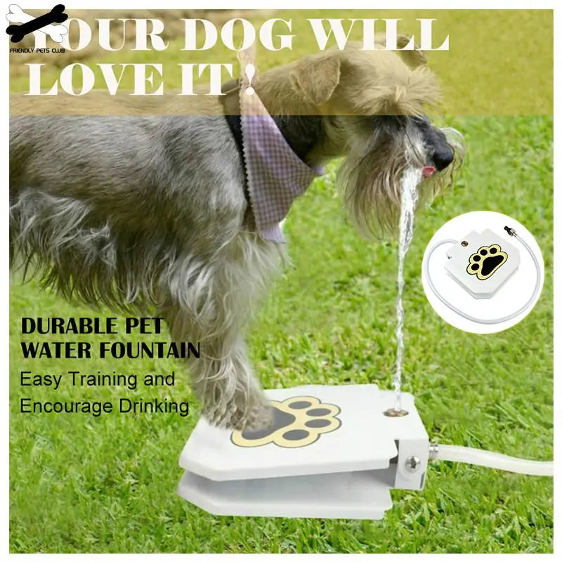 Automatic Dog Drinking Fountain - Paws & Palettes