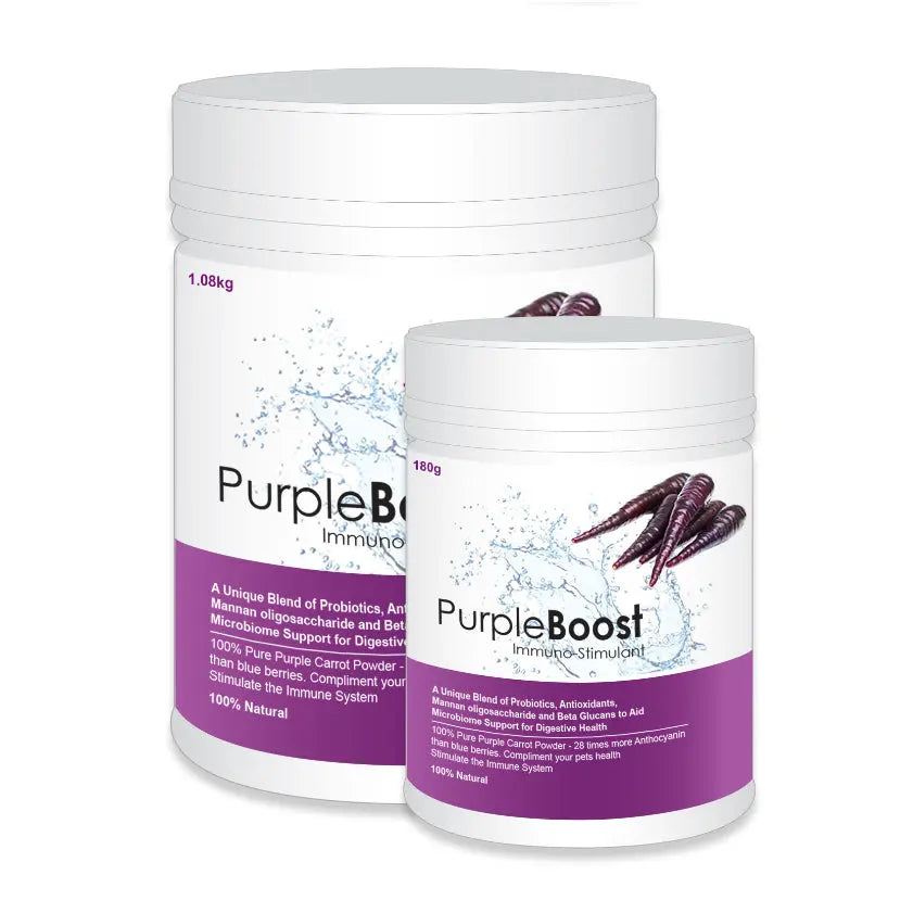 LifeWise – Purple Boost – Immuno-Stimulant - Paws & Palettes