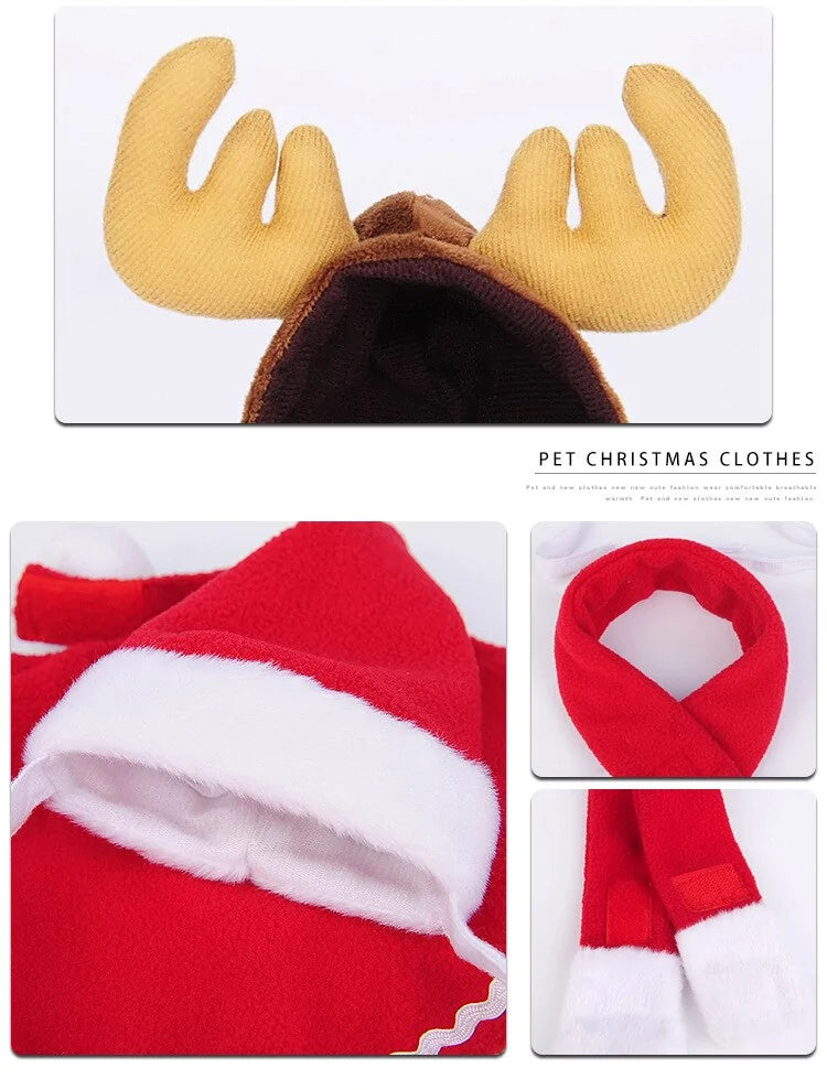 Pet Christmas Clothes - Paws & Palettes