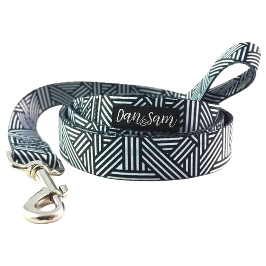 Dan & Sam – Polyester Webbing Lead – Abstract - Paws & Palettes