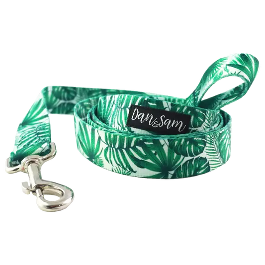 Dan & Sam – Polyester Webbing Lead – Lahana - Paws & Palettes