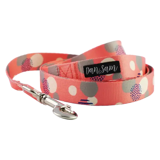 Dan & Sam – Polyester Webbing Lead – Fabulous - Paws & Palettes