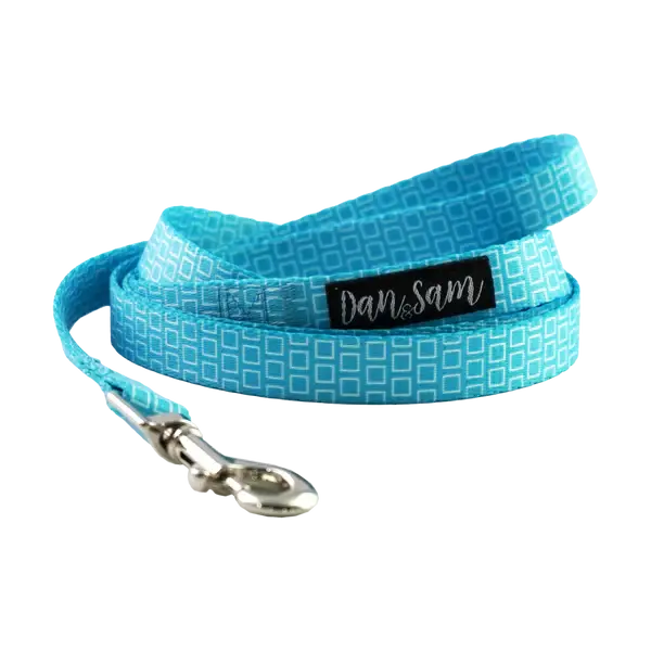 Dan & Sam – Polyester Webbing Lead – Grooving - Paws & Palettes