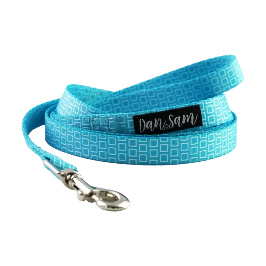Dan & Sam – Polyester Webbing Lead – Grooving - Paws & Palettes