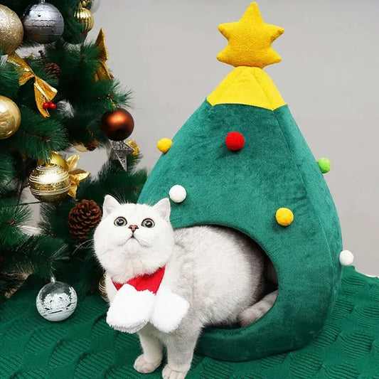 Christmas Cat House - Paws & Palettes