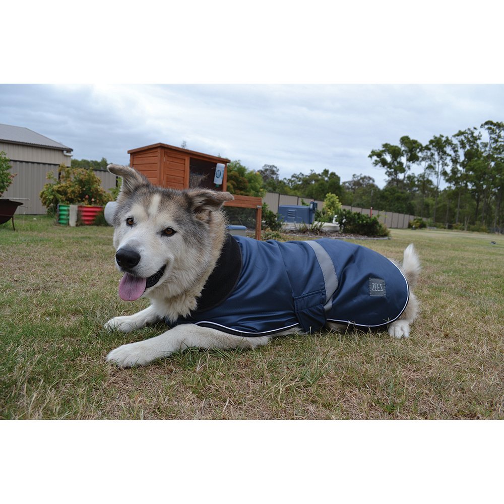 ZeeZ – Waterproof Dapper Dog Coat – Old Navy - Paws & Palettes