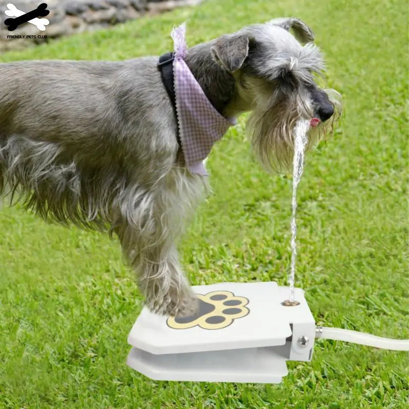 Automatic Dog Drinking Fountain - Paws & Palettes