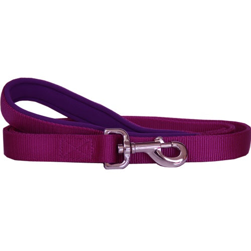 Beau Pets – Neoprene Handle – Nylon Lead – Purple - Paws & Palettes