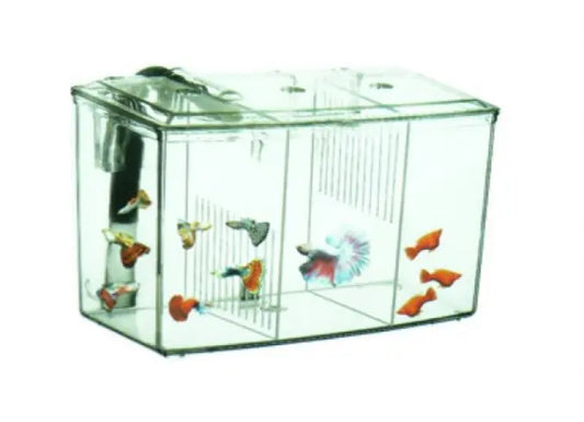 Pet Worx – External Breeding Box -2.5L - Paws & Palettes