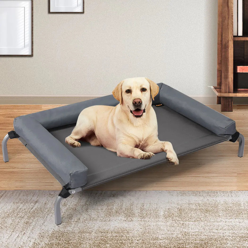 PaWz Elevated Pet Bed Dog Puppy Cat L Large - Paws & Palettes