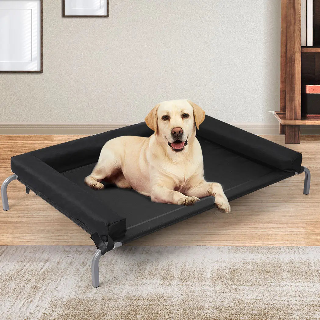 PaWz Elevated Pet Bed Dog Puppy Cat XL X-Large - Paws & Palettes