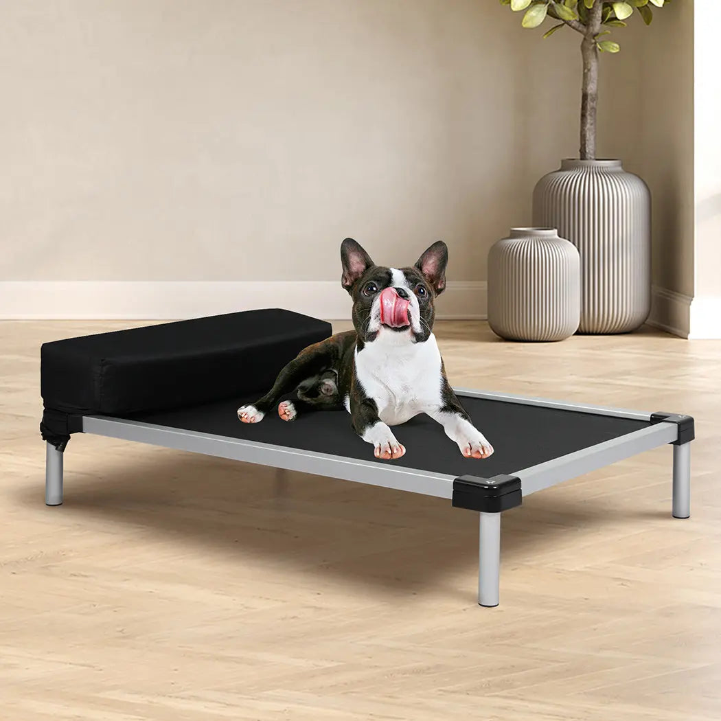 PaWz Pet Trampoline Aluminium Frame M Black Medium - Paws & Palettes