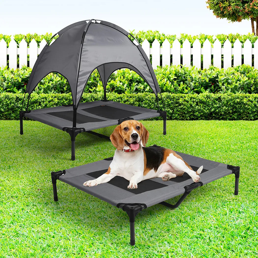 PaWz Pet Trampoline Bed Dog Cat Elevated Large - Paws & Palettes