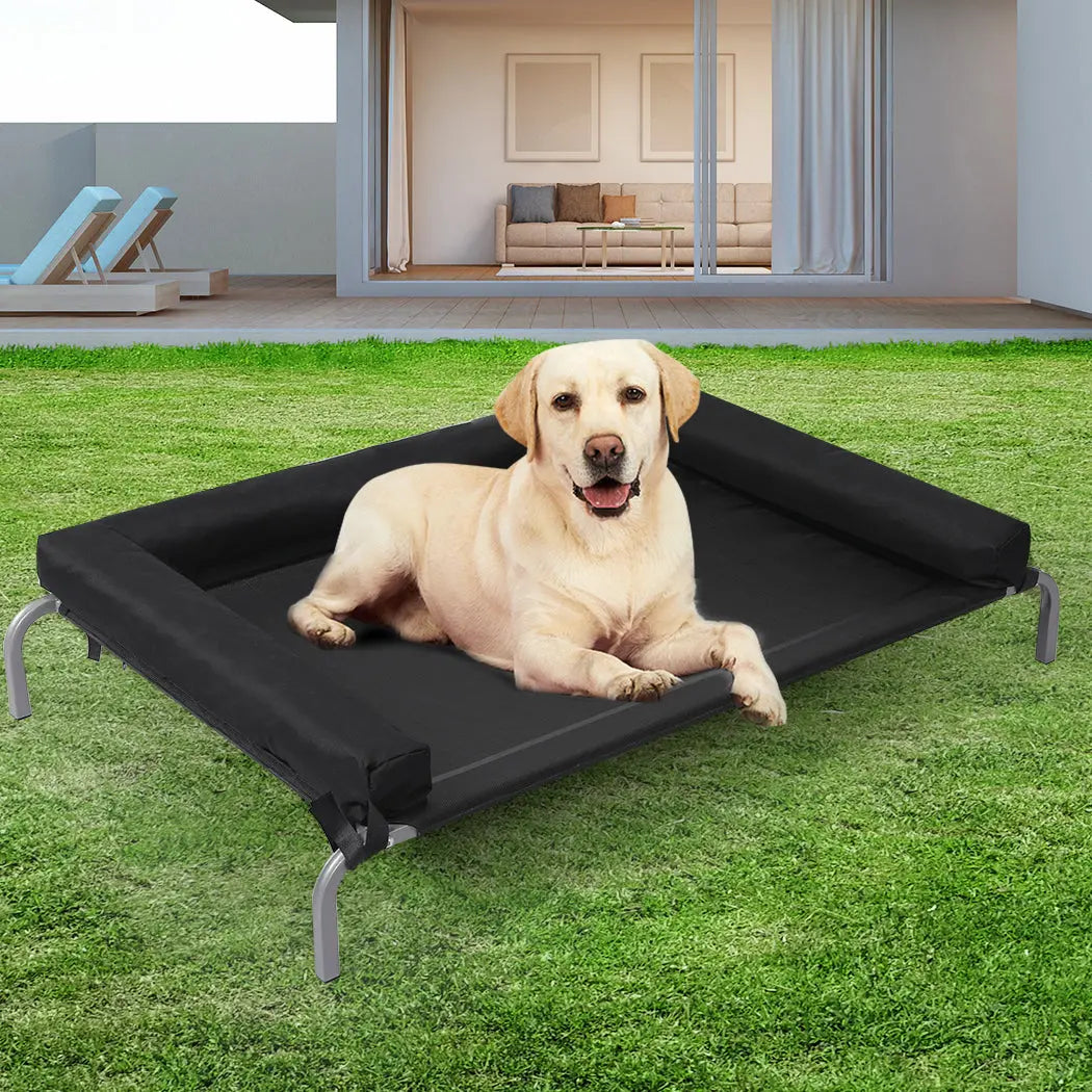 PaWz Elevated Pet Bed Dog Puppy Cat XL X-Large - Paws & Palettes