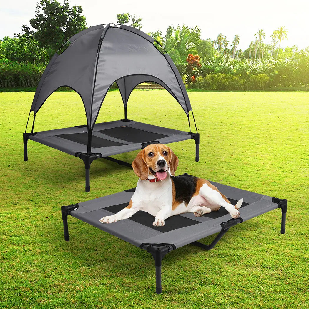 PaWz Pet Trampoline Bed Dog Cat Elevated Large - Paws & Palettes