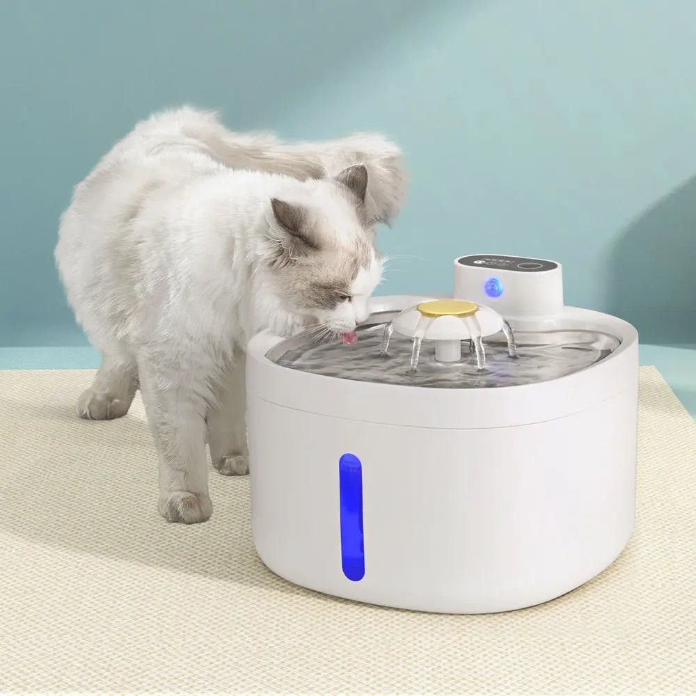 i.Pet Pet Water Fountain Feeder Dispenser Filter Dog Cat Drinking Automatic 2.6L - Paws & Palettes