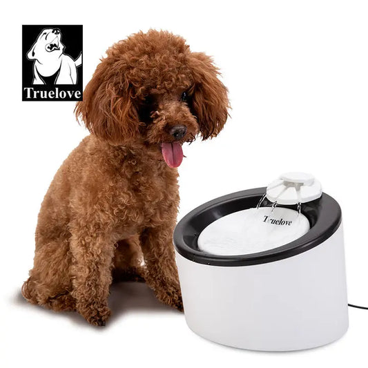 True Love Automatic Water Dispenser - Paws & Palettes