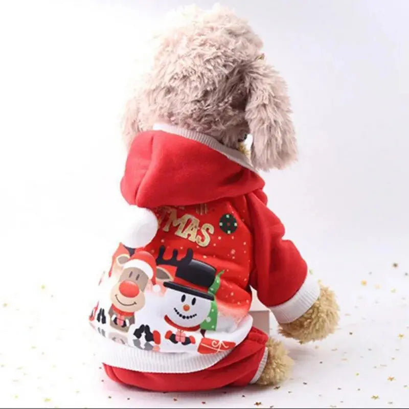 Santa Costume For Pet Dog - Paws & Palettes