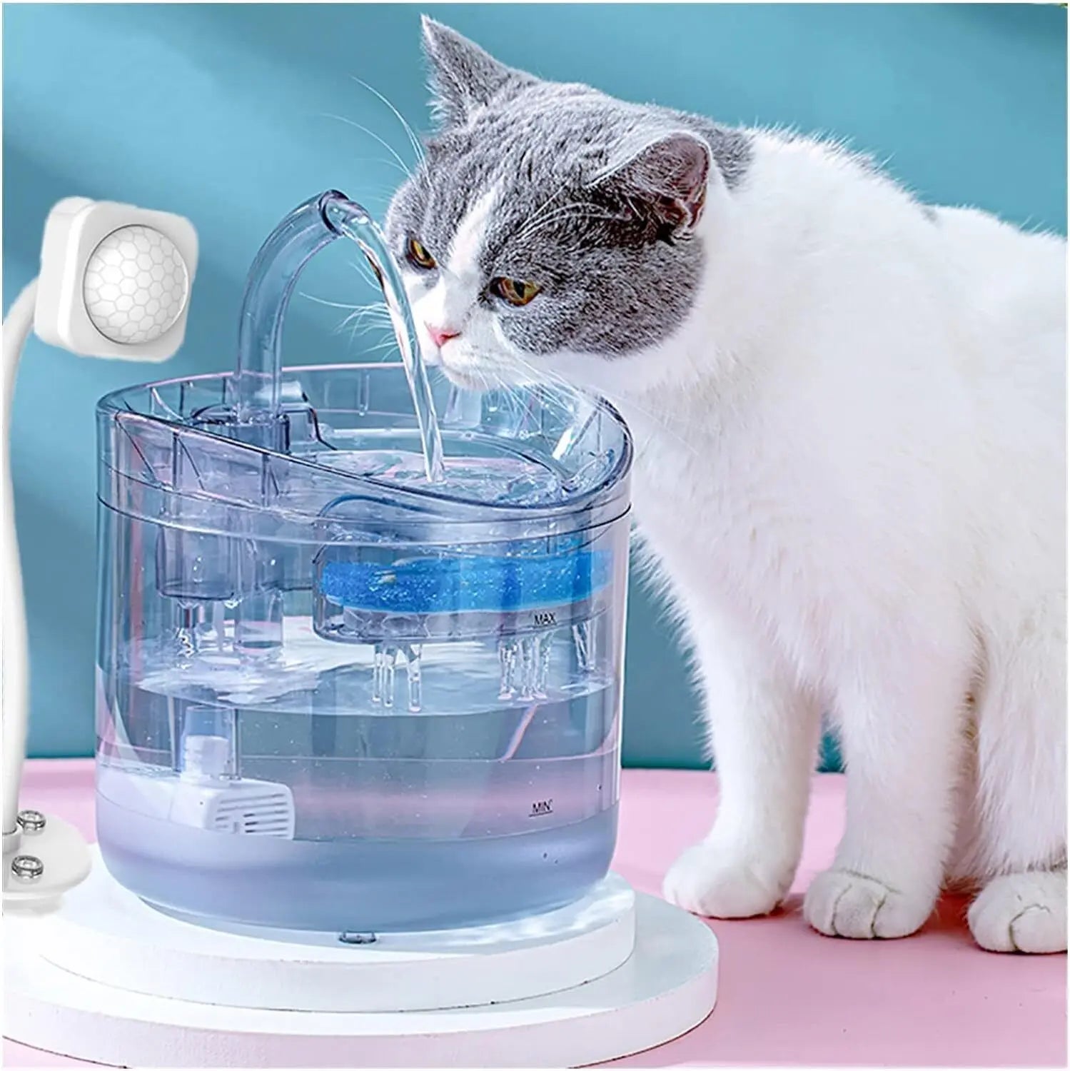 8PCS Filter Electric Pet Water Fountain Automatic Sensor Drinking Dispenser Filter - Paws & Palettes