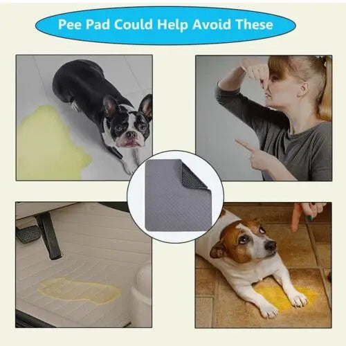 70X50cm Washable Pet Dog Pee Pad Reusable Cat Puppy Training Wee Absorbent Mat Pads Bed - Paws & Palettes