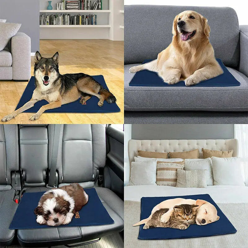 Electric Pet Heat Pad: Waterproof Heating Mat for Cat Dog Bed | Chew Resistant XL - Paws & Palettes