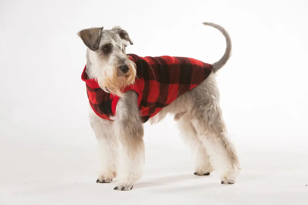 Red Check Dog Pyjamas 70cm - Paws & Palettes