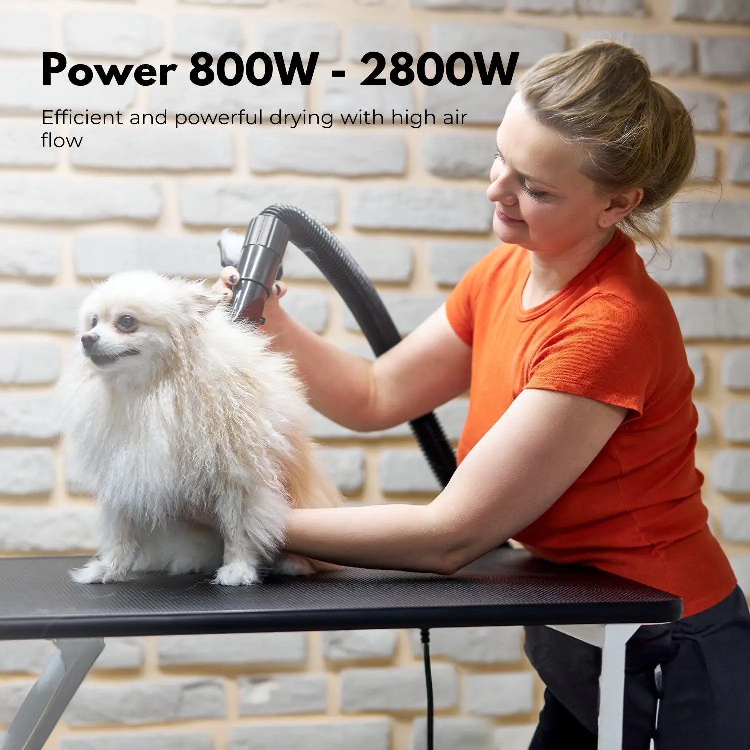 Floofi Pet Hair Dryer Basic (White) - Paws & Palettes