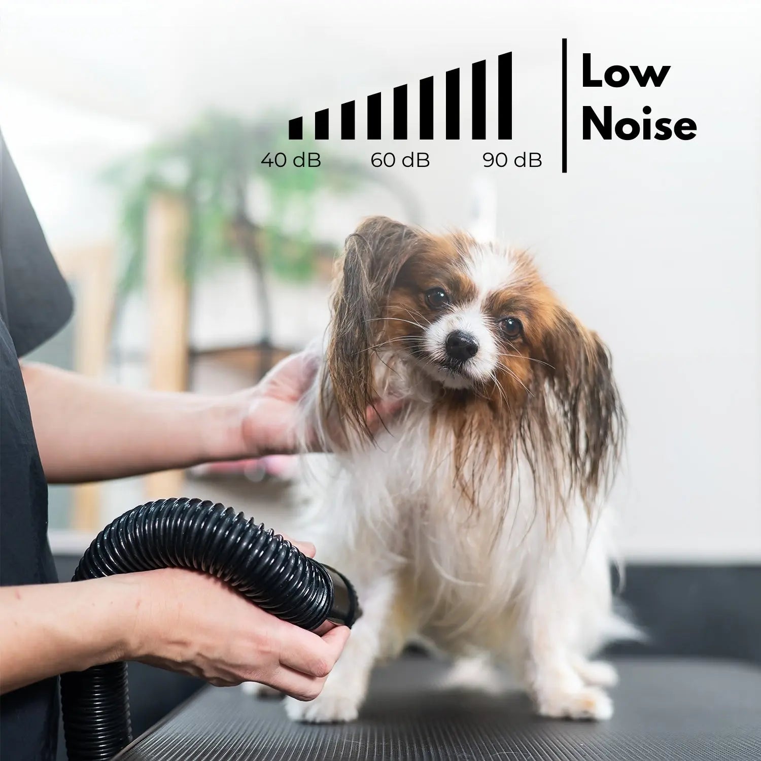 Floofi Pet Hair Dryer Advance Button Version (Black) - Paws & Palettes