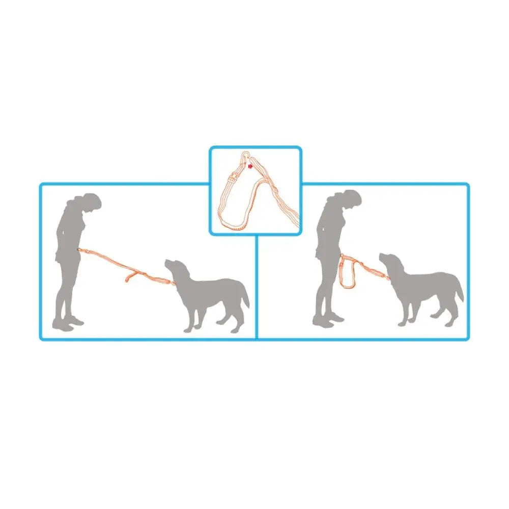Jogging Dog Bungee Leash - Adjustable Waist Belt Bag + Hands Free Walking Lead - Paws & Palettes