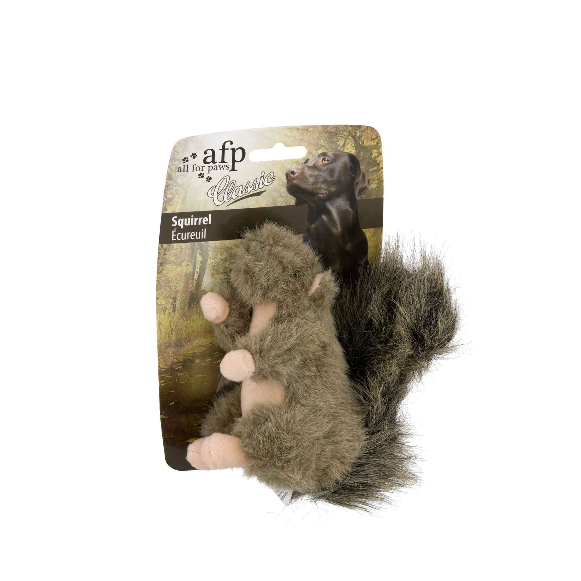Dog Plush Toy - Squirrel Squeaky Interactive Small Life Like Pet Puppy Play - Paws & Palettes