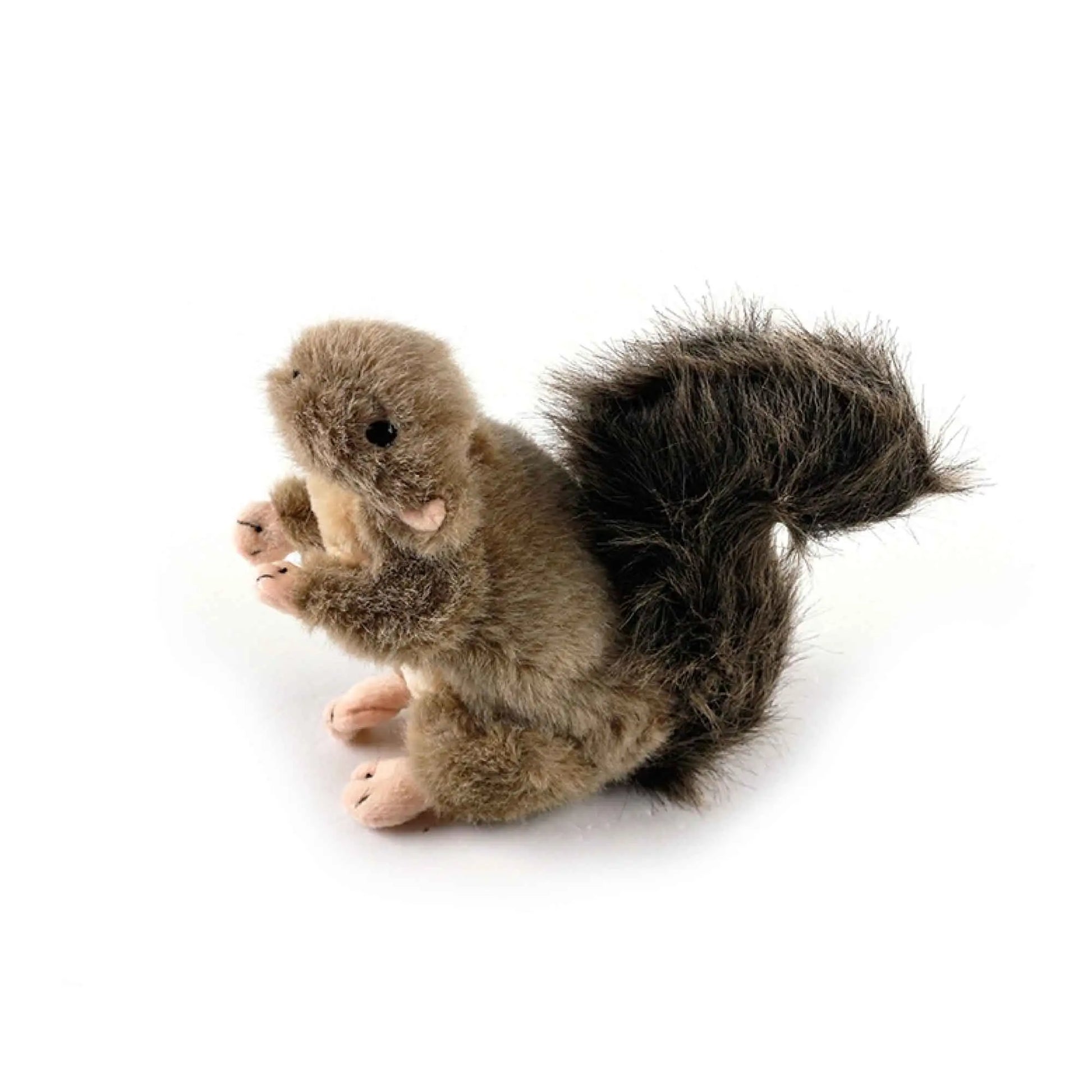 Dog Plush Toy - Squirrel Squeaky Interactive Small Life Like Pet Puppy Play - Paws & Palettes