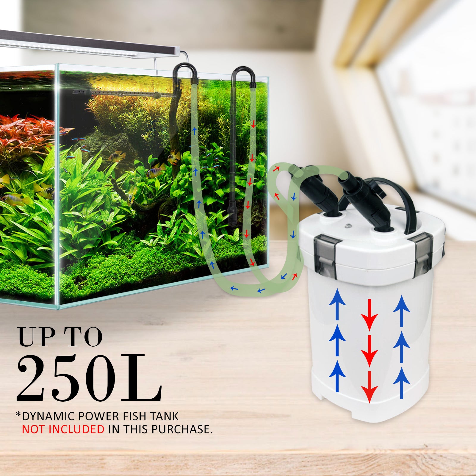 Aquarium External Canister Filter 1000L/H - Paws & Palettes