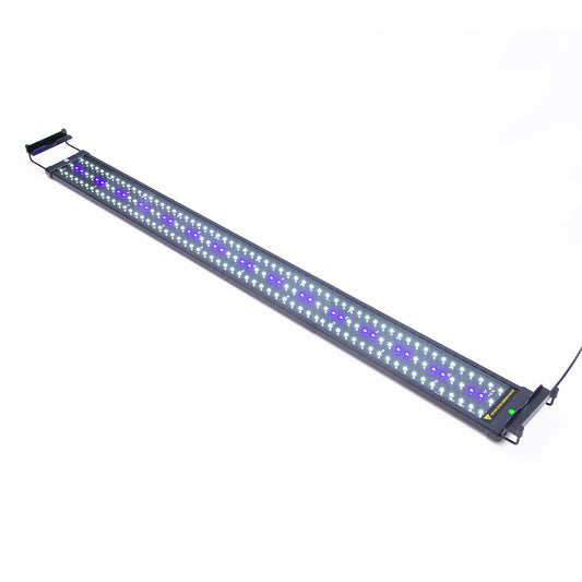 33W Aquarium Blue White LED Light for Tank 120-140cm - Paws & Palettes