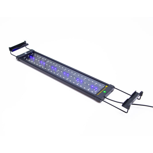 11W Aquarium Blue White LED Light for Tank 50-70cm - Paws & Palettes