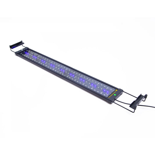 18W Aquarium Blue White LED Light for Tank 75-95cm - Paws & Palettes