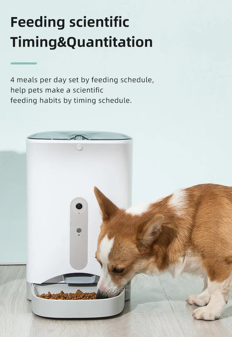 Smart Automatic Pet Dog Cat Rabbit Feeder Smartphone Camera APP for iPhone Android - Paws & Palettes