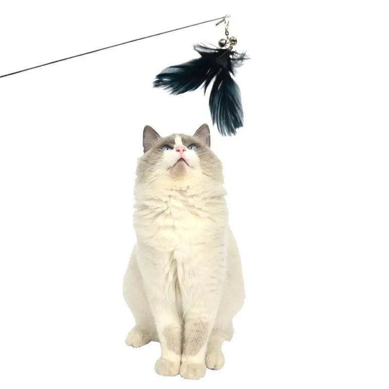 YES4PETS 2 X Pet Cat Toys Retractable Feathers Teaser Cat Stick Interactive Play - Paws & Palettes