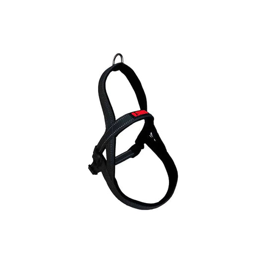 KONG Norwegian Black Harness Medium - Paws & Palettes