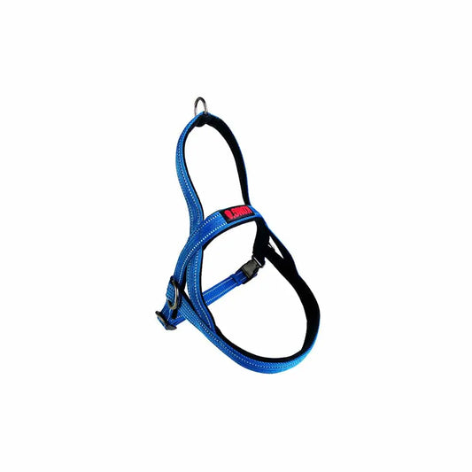 KONG Norwegian Blue Harness Medium - Paws & Palettes