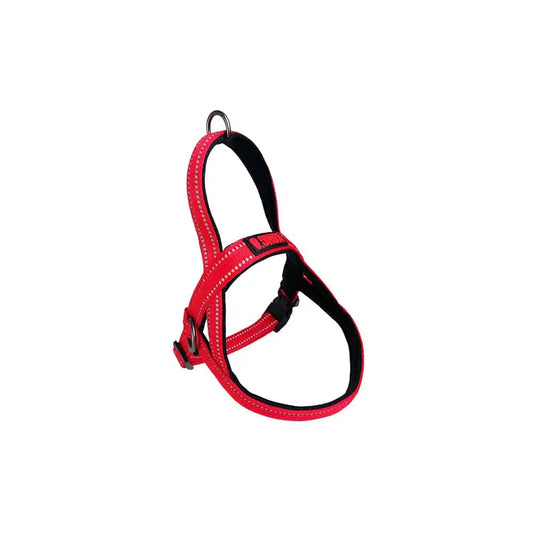 KONG Norwegian Red Harness Medium - Paws & Palettes