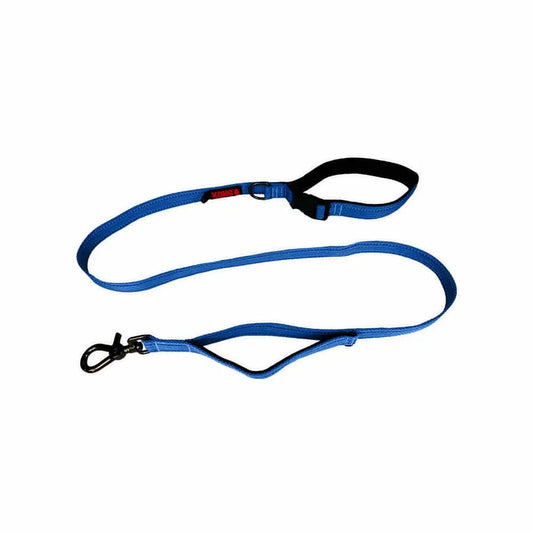 KONG Traffic Blue Leashes Medium - Paws & Palettes