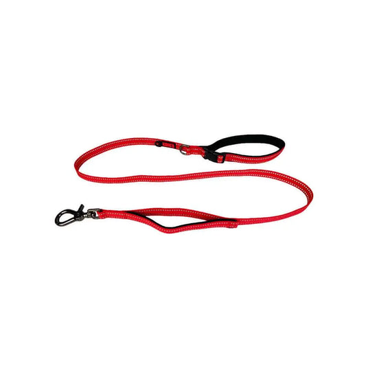 KONG Traffic Red Leashes Medium - Paws & Palettes