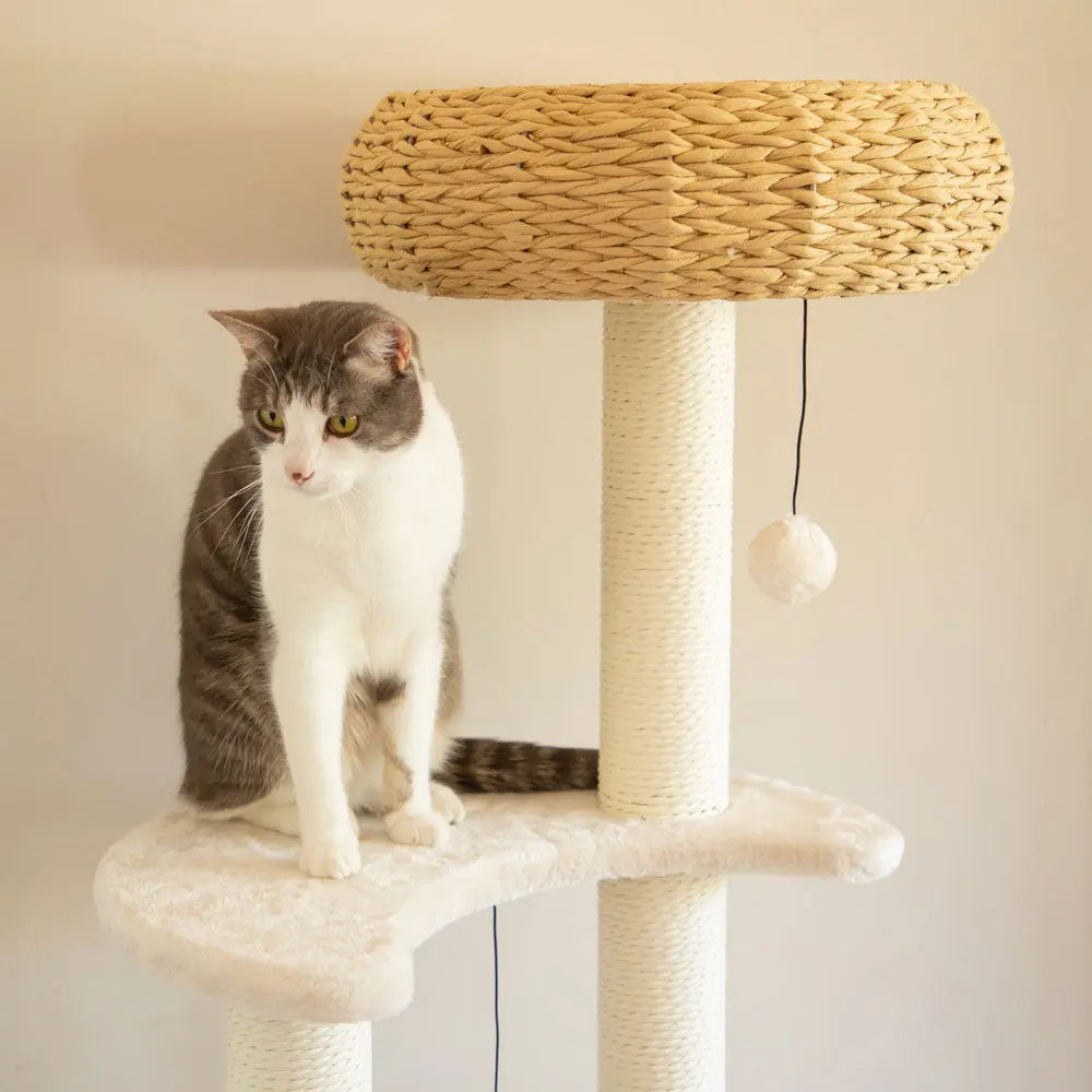 5-Platform Plush and Wicker Cat Tree - Paws & Palettes