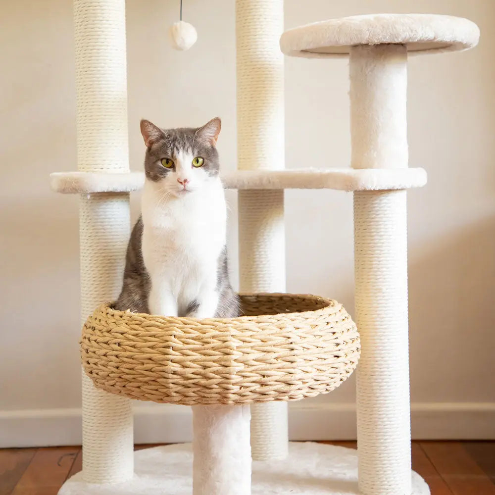 5-Platform Plush and Wicker Cat Tree - Paws & Palettes