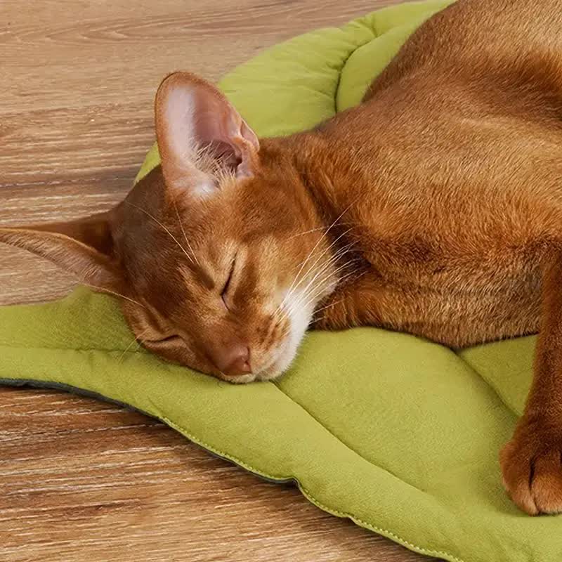 1 Pcs Green Leaf-Shaped Pet Sleeping Mat - Durable Dog Floor Pad & Cat Bed for Sleeping and Playtime Paws & Palettes