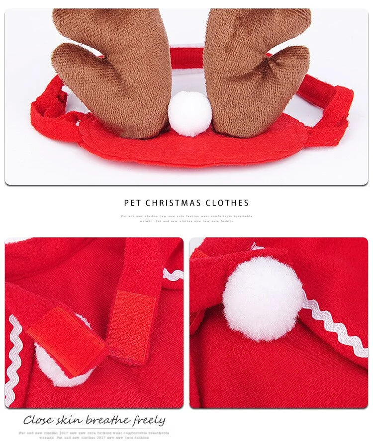 Pet Christmas Clothes - Paws & Palettes